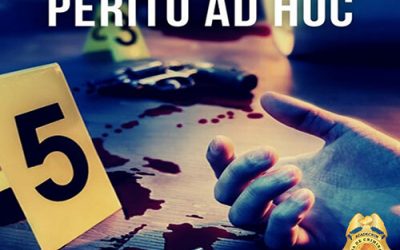 PERITO AD HOC