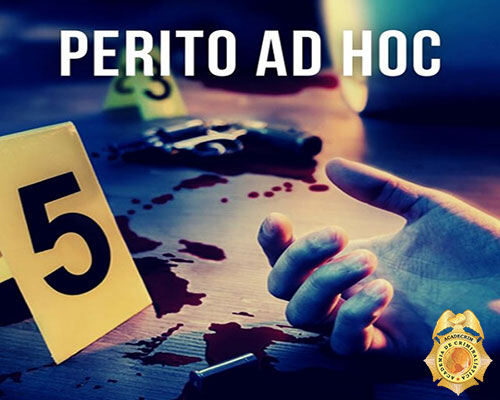 PERITO AD HOC